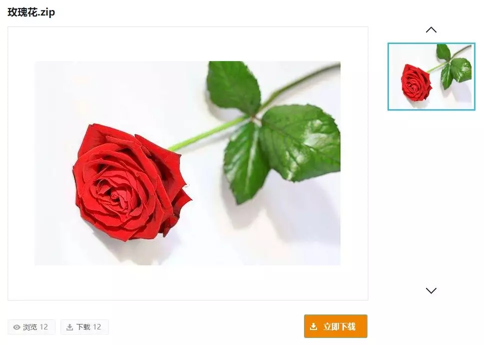 3D打印玫瑰花模型